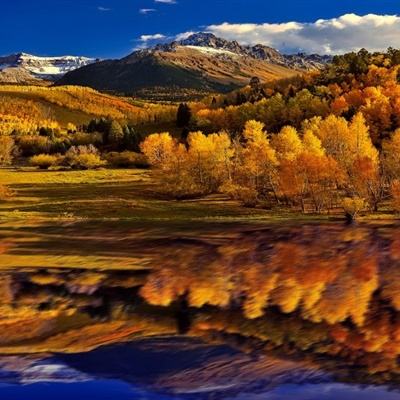 新manbetx-万博全站