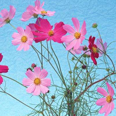 BOB·体育综合(综合)APP下载安装